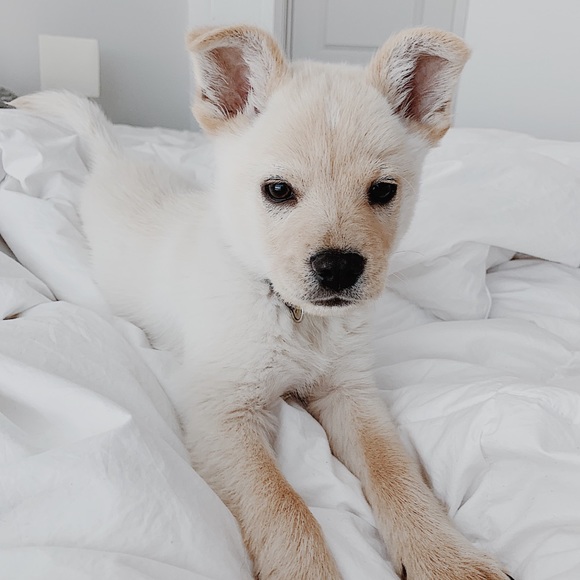 welcome to my closet !!! - Picture 3 of 11